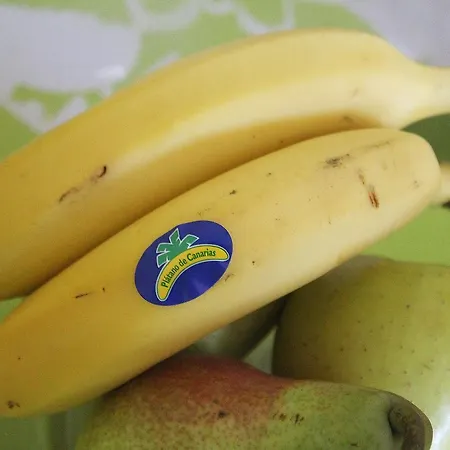 Armonia 15 Διαμέρισμα Arinaga