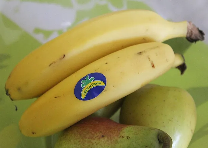 Armonia 15 Lägenhet Arinaga